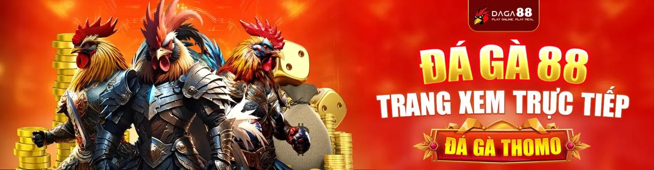 Sàn đấu gà trực tiếp SV88 với hình ảnh sắc nét